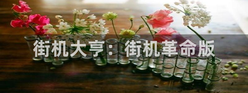  街机大亨：街机革命版