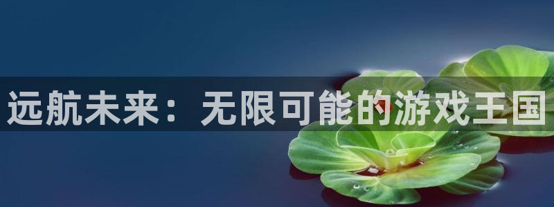 完美电竞平台改名卡：远航未来：无限可能的游戏王国