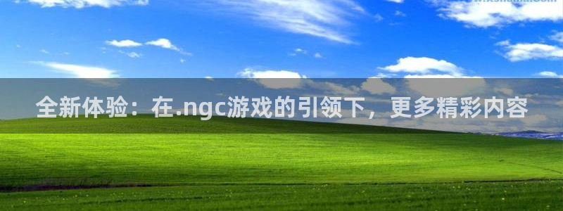 完美电竞app富豪榜：全新体验：在.ngc游戏的引领下，更多