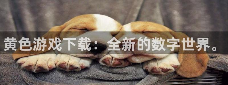  完美电竞app看库存在哪：黄色游戏下载：全新的数字世界。