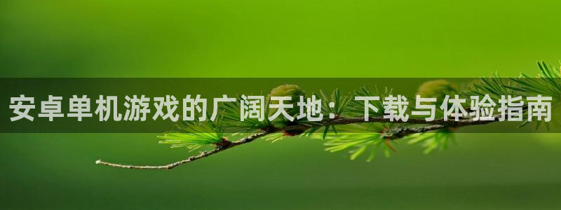 完美电竞平台实名认证可以改吗安全吗：安卓单机游戏的广阔天地：
