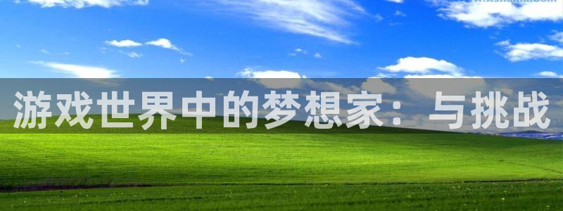  完美电竞平台狙击能力评分没有：游戏世界中的梦想家：与挑战